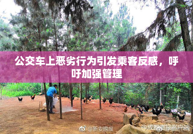 公交车上恶劣行为引发乘客反感，呼吁加强管理