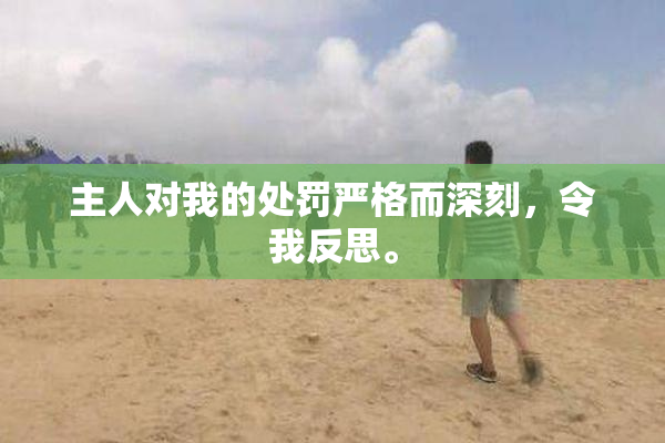主人对我的处罚严格而深刻，令我反思。