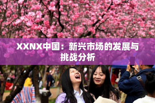 XXNX中国：新兴市场的发展与挑战分析