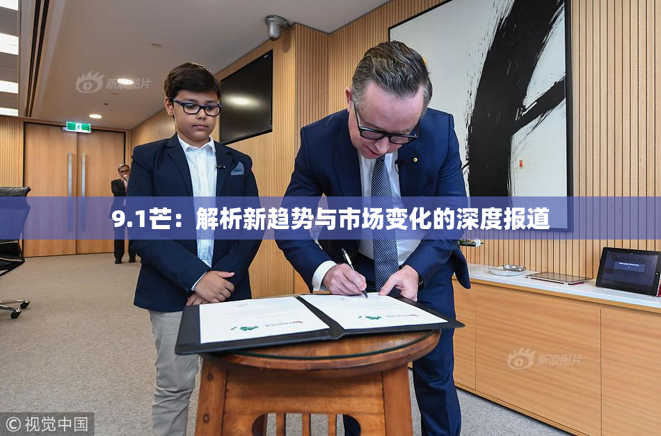 9.1芒：解析新趋势与市场变化的深度报道