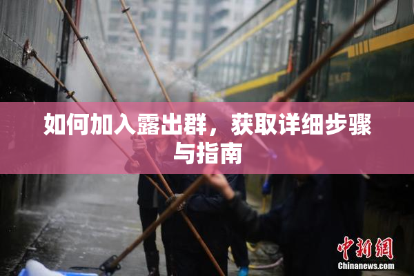 如何加入露出群，获取详细步骤与指南