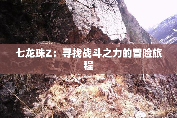 七龙珠Z：寻找战斗之力的冒险旅程
