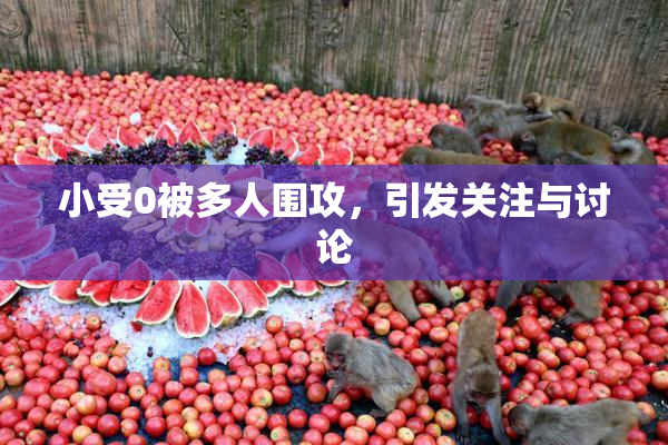 小受0被多人围攻，引发关注与讨论