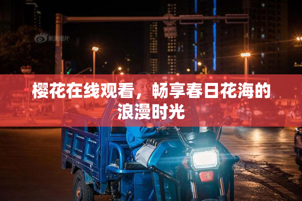 樱花在线观看，畅享春日花海的浪漫时光