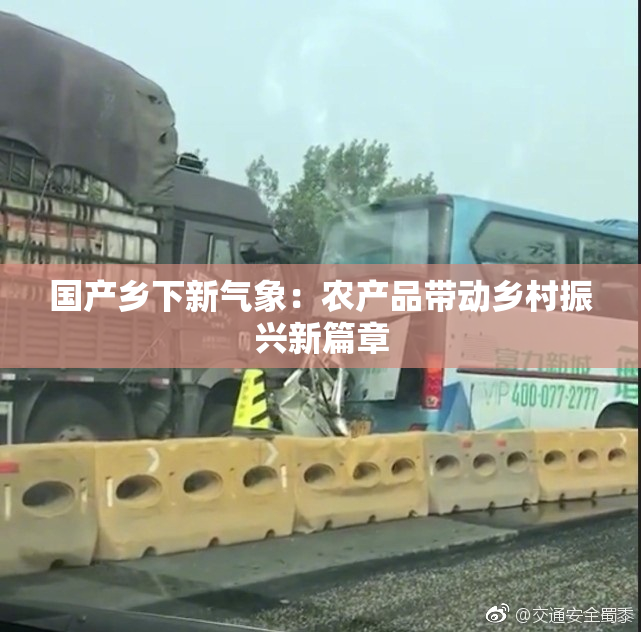 国产乡下新气象：农产品带动乡村振兴新篇章