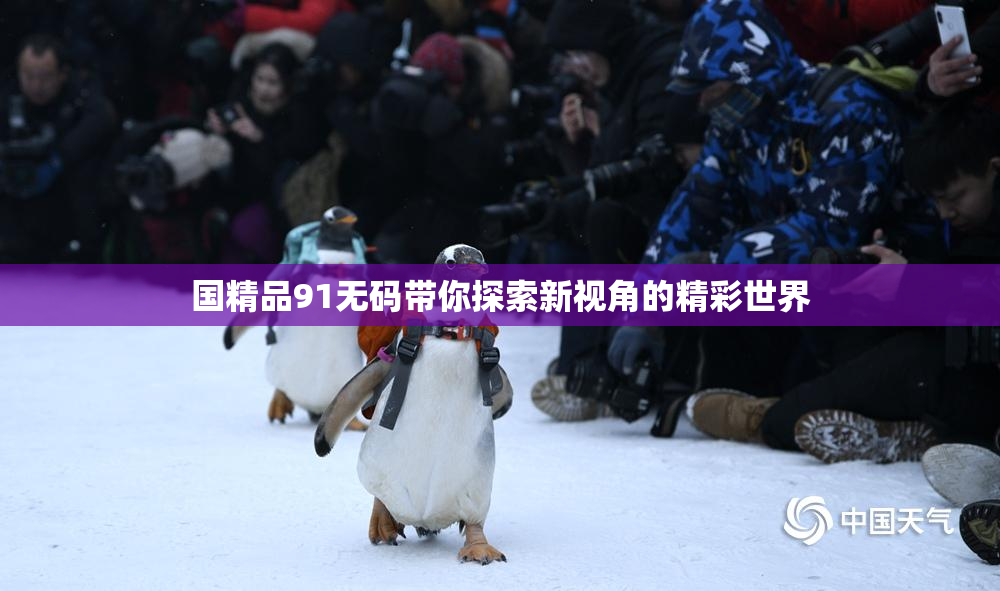 国精品91无码带你探索新视角的精彩世界