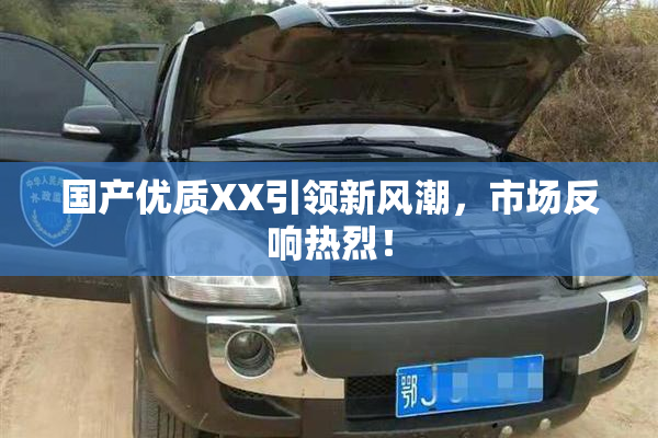 国产优质XX引领新风潮，市场反响热烈！