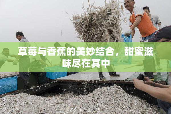 草莓与香蕉的美妙结合，甜蜜滋味尽在其中