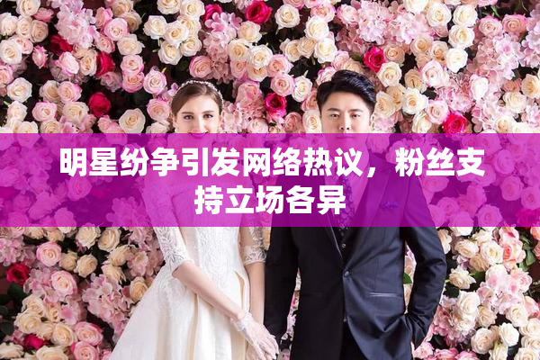 明星纷争引发网络热议，粉丝支持立场各异