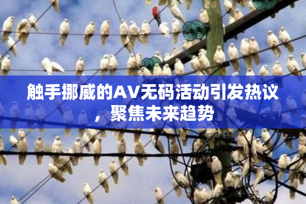 触手挪威的AV无码活动引发热议，聚焦未来趋势