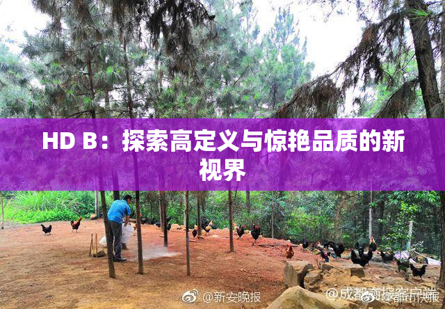 HD B：探索高定义与惊艳品质的新视界
