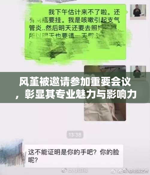风堇被邀请参加重要会议，彰显其专业魅力与影响力