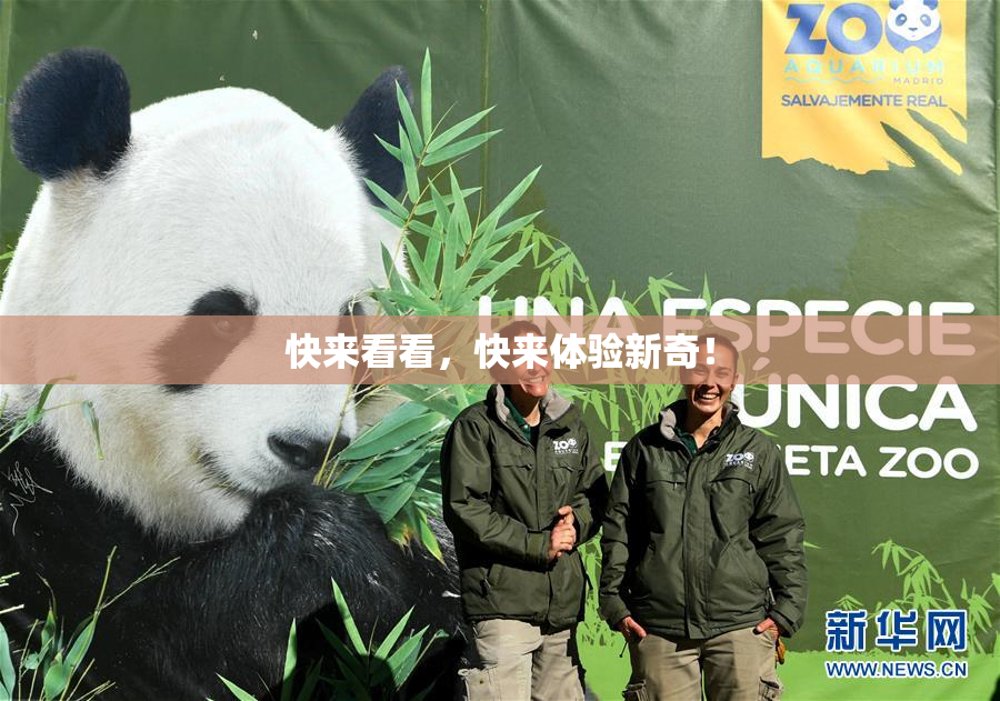 快来看看，快来体验新奇！