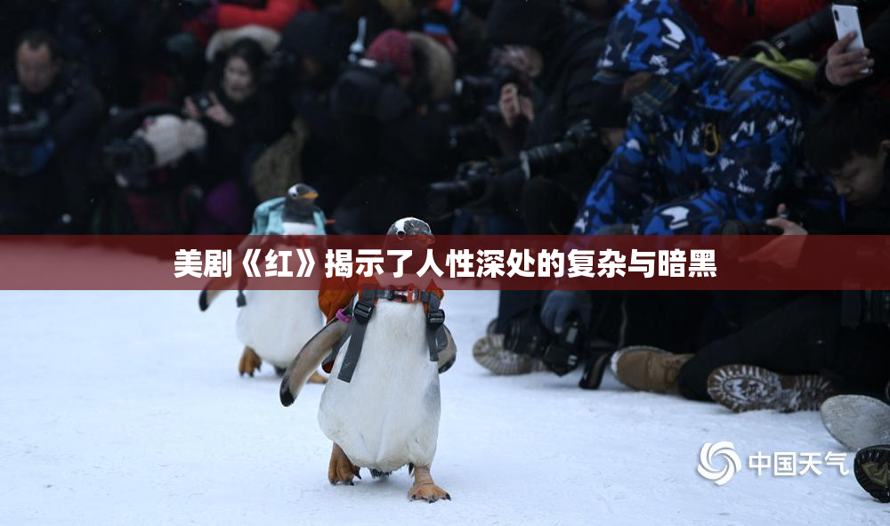 美剧《红》揭示了人性深处的复杂与暗黑