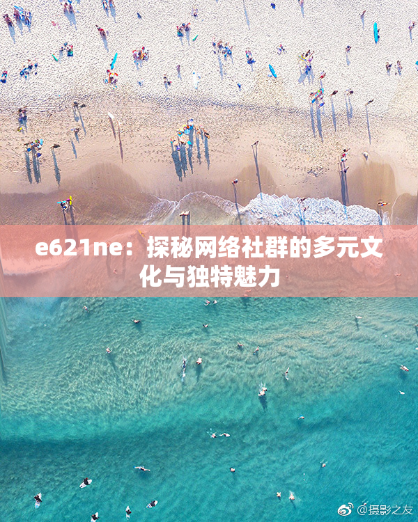 e621ne：探秘网络社群的多元文化与独特魅力
