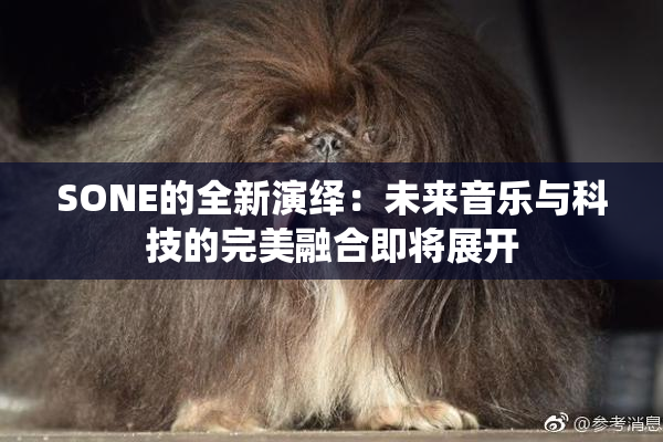 SONE的全新演绎：未来音乐与科技的完美融合即将展开