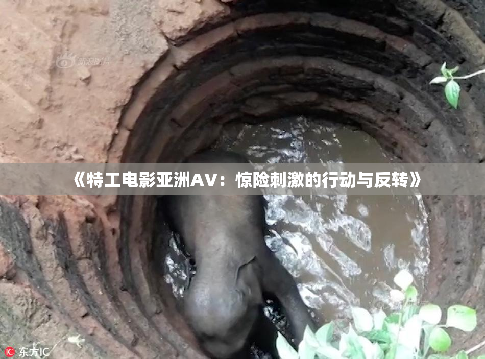 《特工电影亚洲AV：惊险刺激的行动与反转》