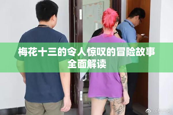 梅花十三的令人惊叹的冒险故事全面解读