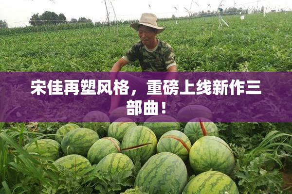 宋佳再塑风格，重磅上线新作三部曲！
