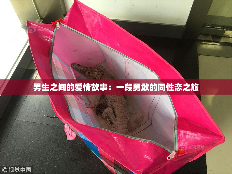男生之间的爱情故事：一段勇敢的同性恋之旅