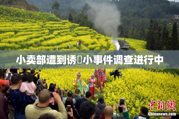 小卖部遭到诱奷小事件调查进行中