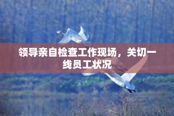 领导亲自检查工作现场，关切一线员工状况