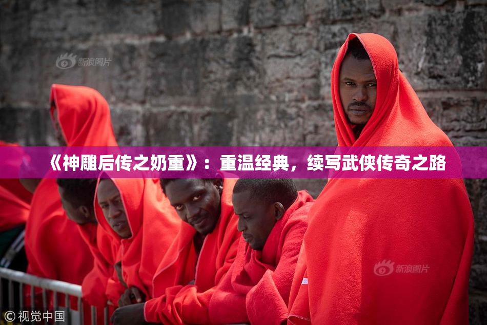 《神雕后传之奶重》：重温经典，续写武侠传奇之路