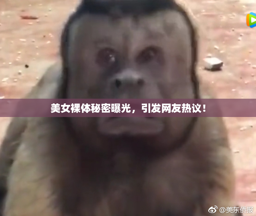 美女裸体秘密曝光，引发网友热议！