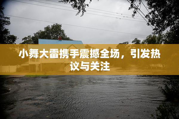 小舞大雷携手震撼全场，引发热议与关注