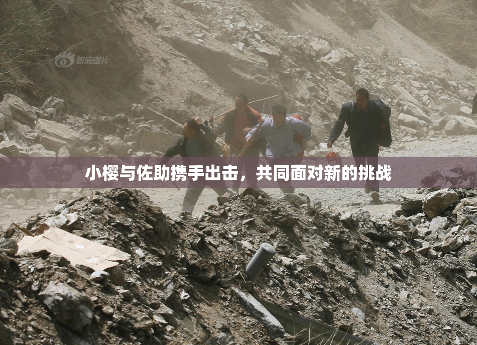 小樱与佐助携手出击，共同面对新的挑战