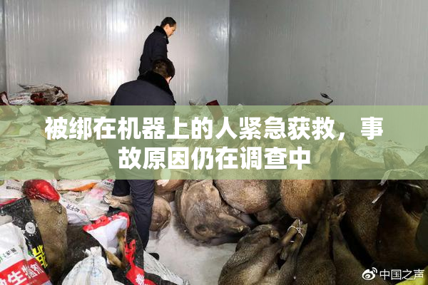被绑在机器上的人紧急获救，事故原因仍在调查中
