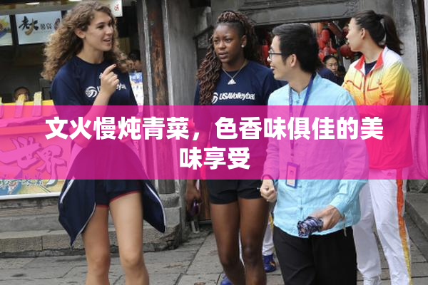 文火慢炖青菜，色香味俱佳的美味享受