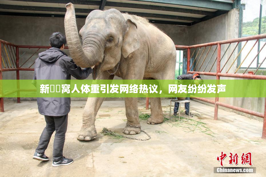 新妺妺窝人体重引发网络热议，网友纷纷发声