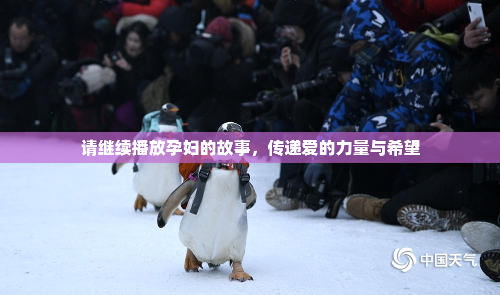请继续播放孕妇的故事，传递爱的力量与希望