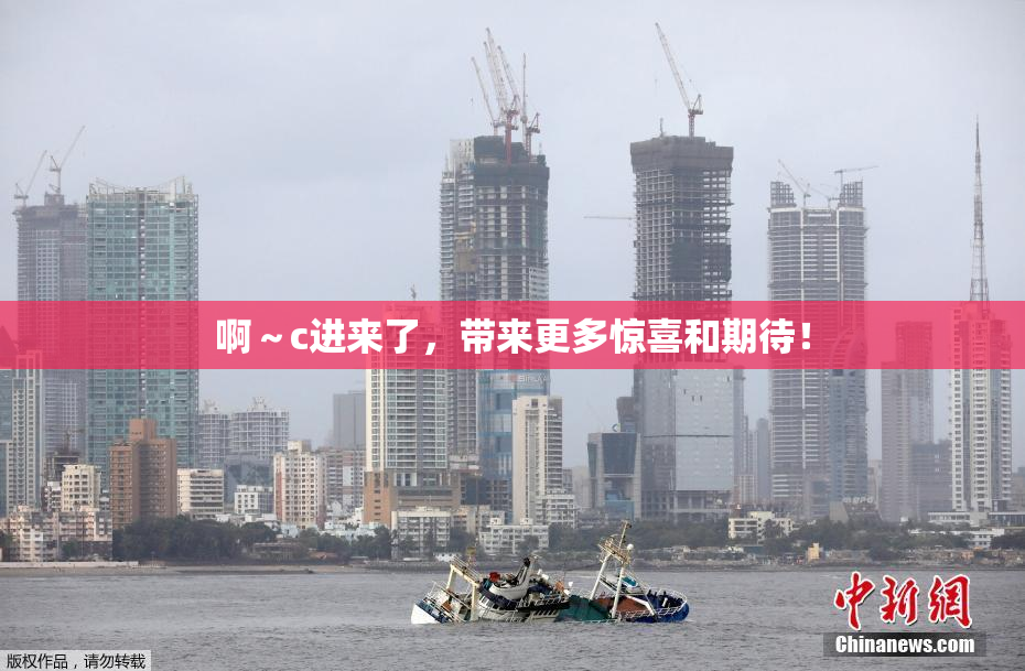 啊～c进来了，带来更多惊喜和期待！