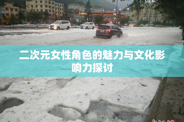 二次元女性角色的魅力与文化影响力探讨