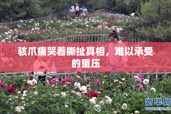 骇爪痛哭着撕扯真相，难以承受的重压