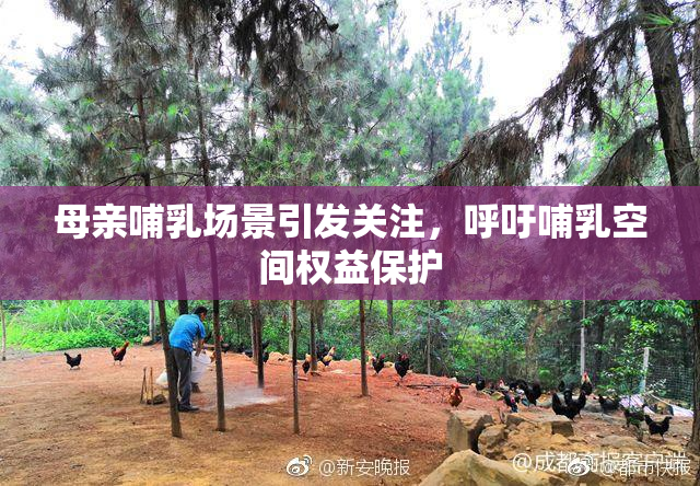 母亲哺乳场景引发关注，呼吁哺乳空间权益保护