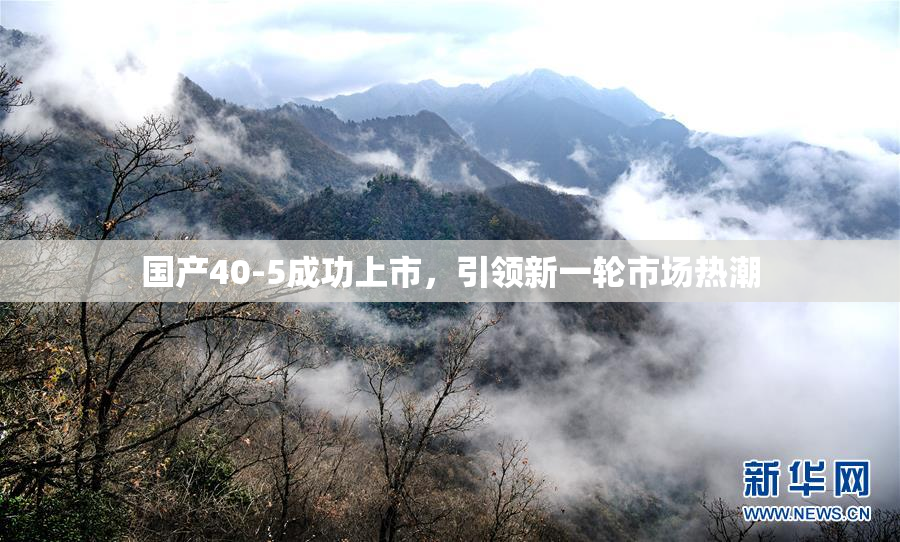 国产40-5成功上市，引领新一轮市场热潮