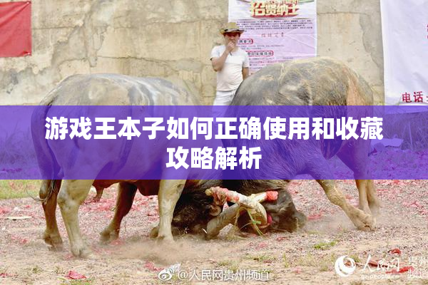 游戏王本子如何正确使用和收藏攻略解析