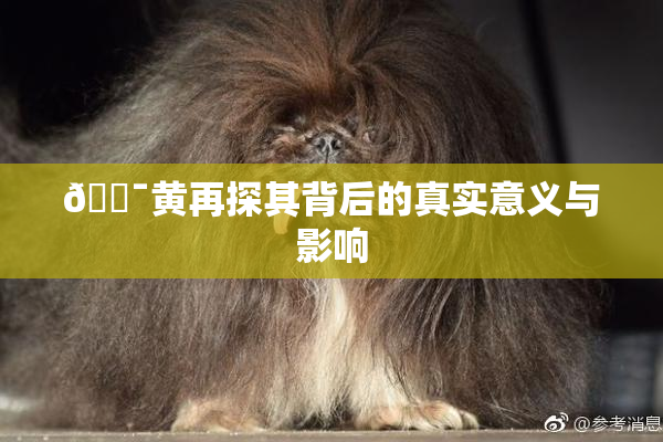 🔯黄再探其背后的真实意义与影响