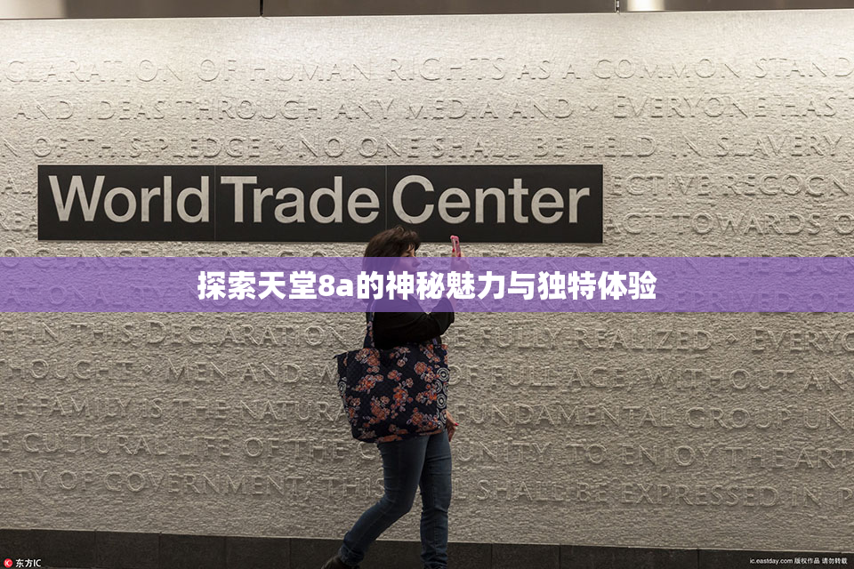探索天堂8a的神秘魅力与独特体验