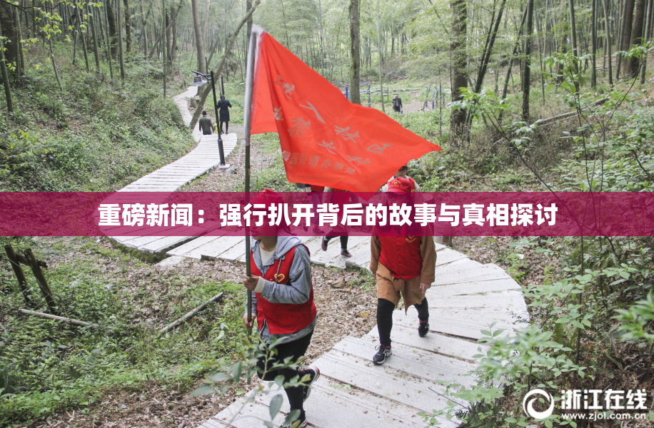 重磅新闻：强行扒开背后的故事与真相探讨