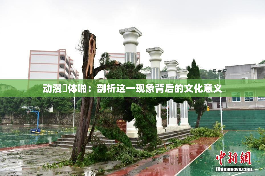 动漫祼体啪：剖析这一现象背后的文化意义