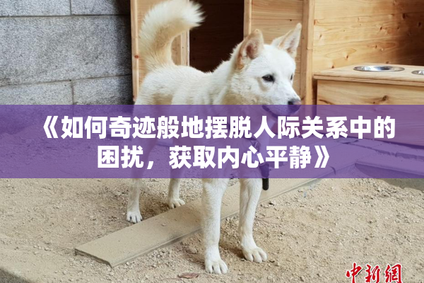 《如何奇迹般地摆脱人际关系中的困扰，获取内心平静》