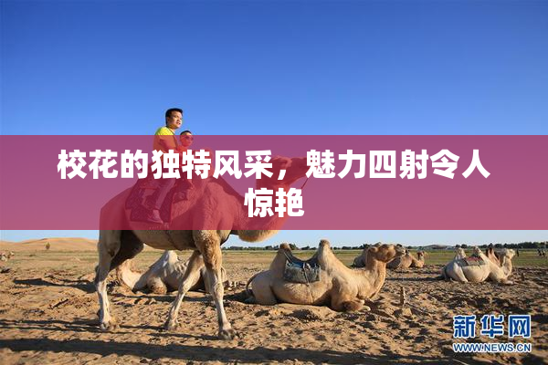 校花的独特风采，魅力四射令人惊艳
