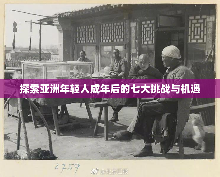 探索亚洲年轻人成年后的七大挑战与机遇