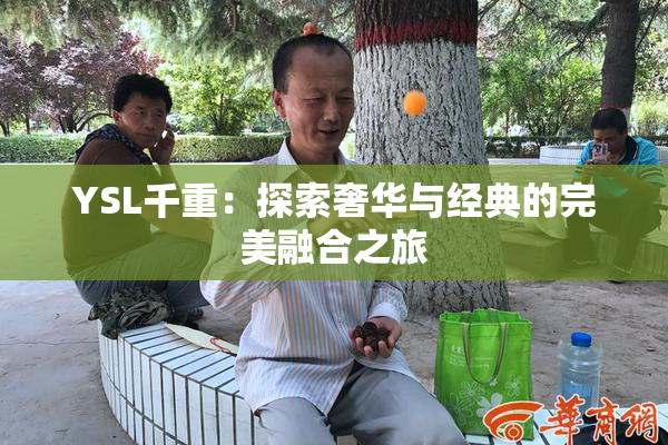 YSL千重：探索奢华与经典的完美融合之旅