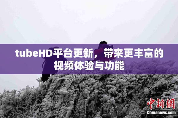 tubeHD平台更新，带来更丰富的视频体验与功能