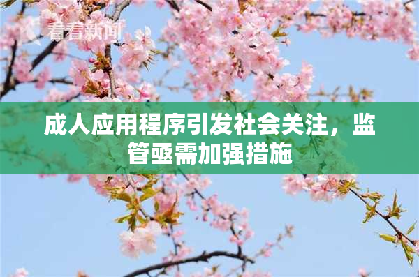 成人应用程序引发社会关注，监管亟需加强措施